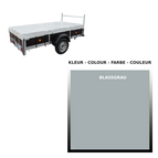 Bladder gray